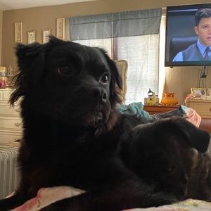 Meet your Posher, Salia